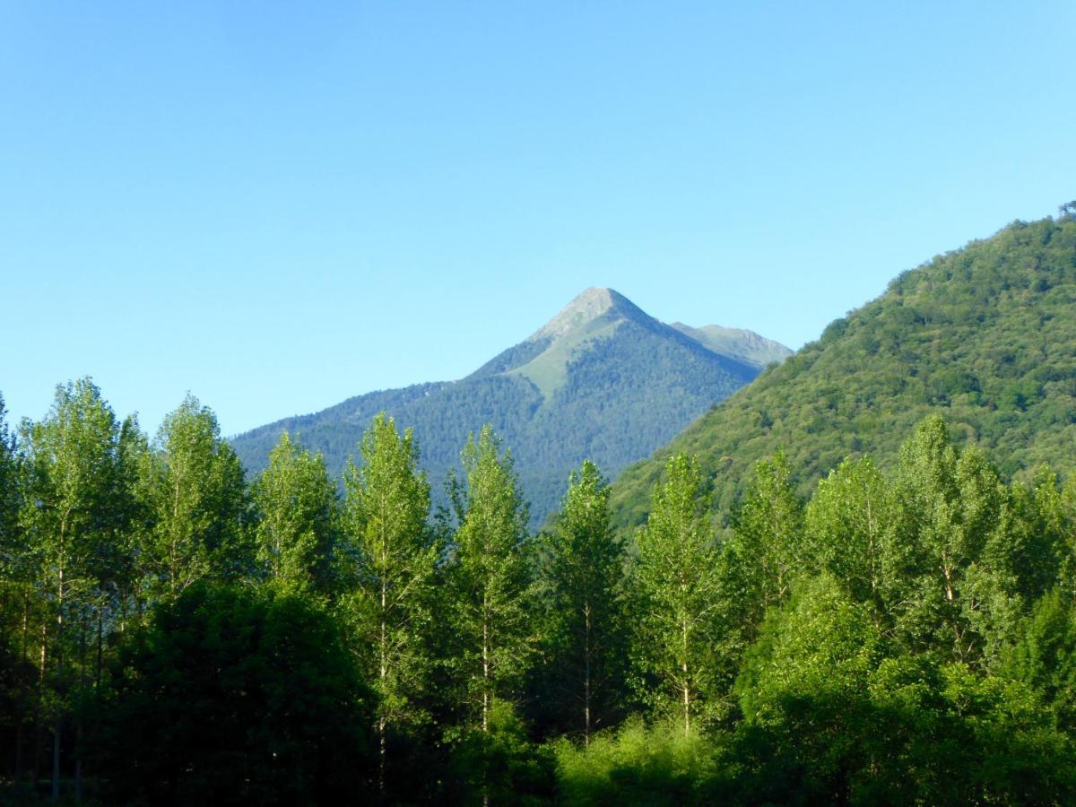 Le Grand Chalet Panzió Aspet Kültér fotó